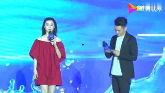 顺晋娱乐,引领潮流的娱乐新势力