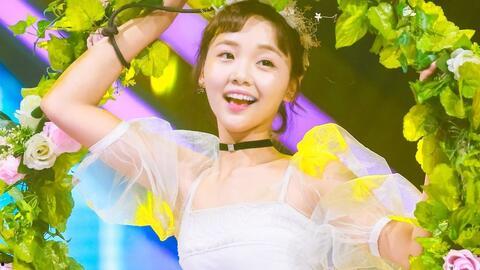 芒果娱乐101,青春追梦，星光璀璨的偶像养成之旅