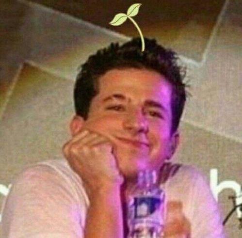 刘梓晨下巴表情包,网络红人的“下巴艺术”