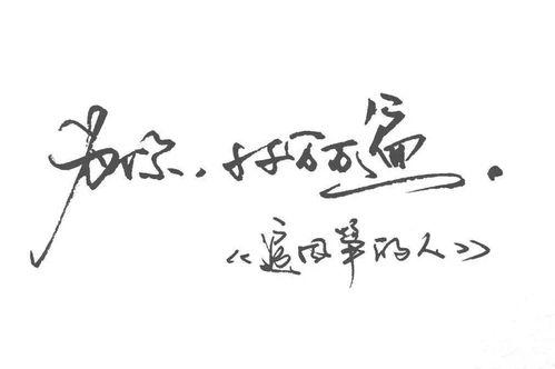 追风筝的人背景音乐,追风筝之人情感旋律之旅